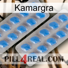 Kamargra 23